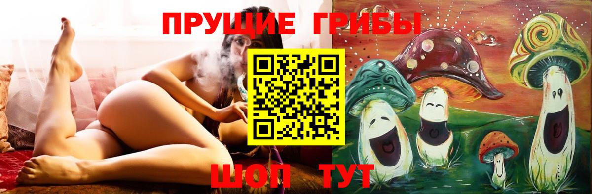 Псилоцибиновые грибы Psilocybe  Вход с VPN  Артём 